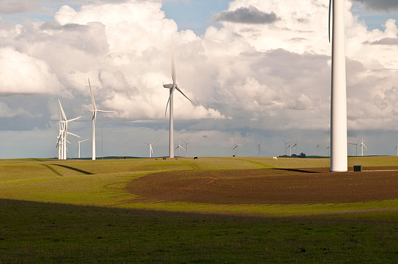 Wind Mills in Spring